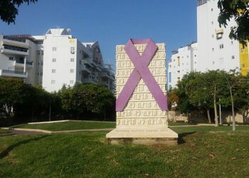 Ministers Continue to Delay Bill to Monitor Domestic Violence, Drawing Anger