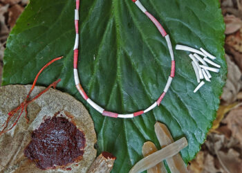 Organic Red Pigment Usage Likely Began in Israel 15,000 years Ago