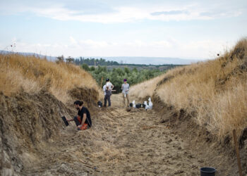 Grand Opening: Ubeidiya National Park in the Jordan Valley Opens to the Public