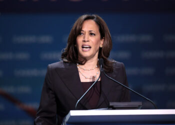 Jewish Voters Favor Harris Over Trump: Exit Polls Reveal 79% Support for Democrats