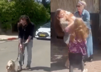 From Gaza to Home: Dog Kidnapped on October 7 Reunited with Owner