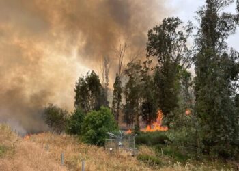 Inferno in the Hills: Wildfires Force Evacuations and Paralyze Central Israel