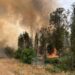Inferno in the Hills: Wildfires Force Evacuations and Paralyze Central Israel