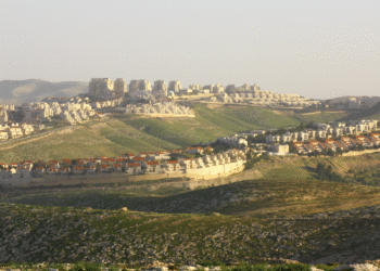 Archaeologists in Shiloh Uncover Site Linked to the Ark of the Covenant