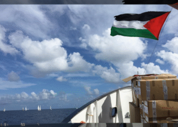 Strong Winds Force Gaza Flotilla Led by Greta Thunberg Back to Port